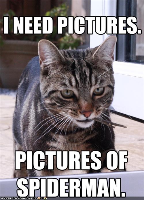 I NEED PICTURES.