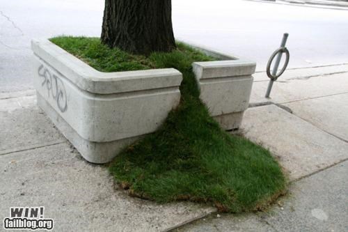 Mother Nature FTW: Planter Runneth Over