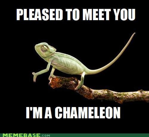The Most Cordial of Animals