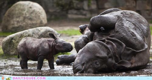 Rolling in the Deep (Mud)