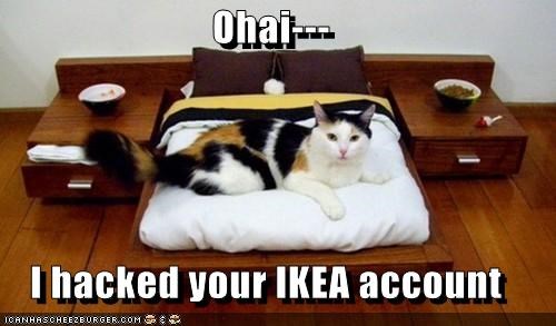 Ohai---