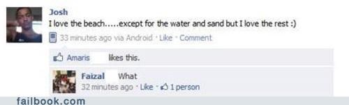 So... the Seagulls?