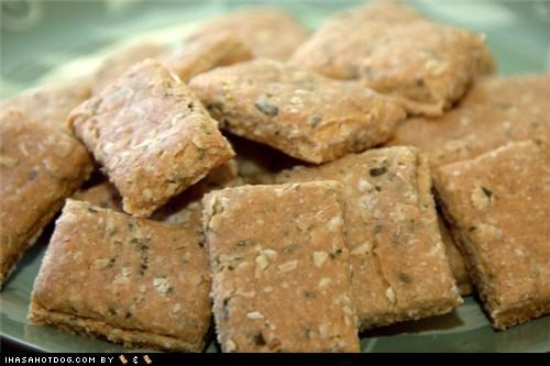 Homemade Goggie Treat ob teh Week: Crunchy Granola Bars!