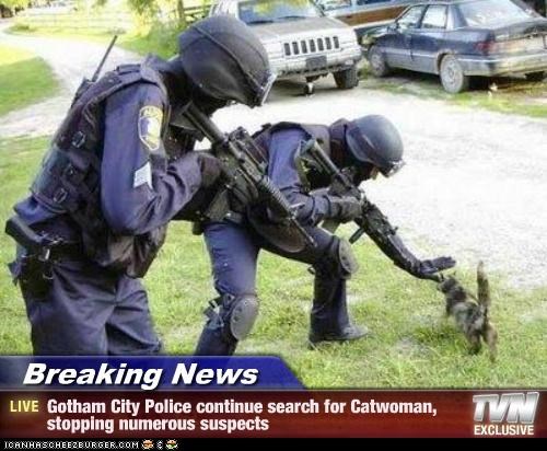 Breaking News - Gotham City Police continue search for Catwoman, stopping numerous suspects