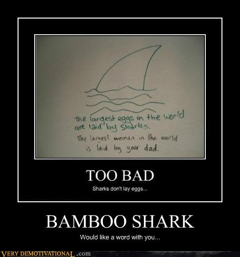 BAMBOO SHARK