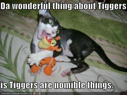 Da wonderful thing about Tiggers  is Tiggers are nomible things.