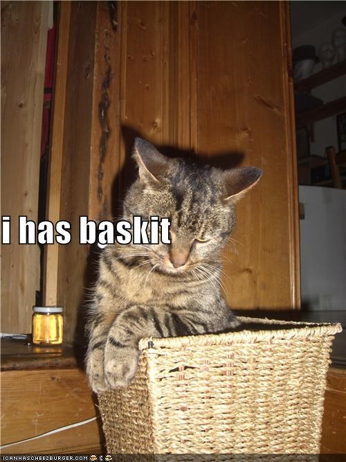 i has baskit