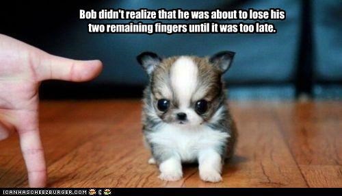 Bob didn't
