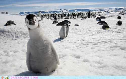 Look! A Sweet Lil' Baby Craneguin!