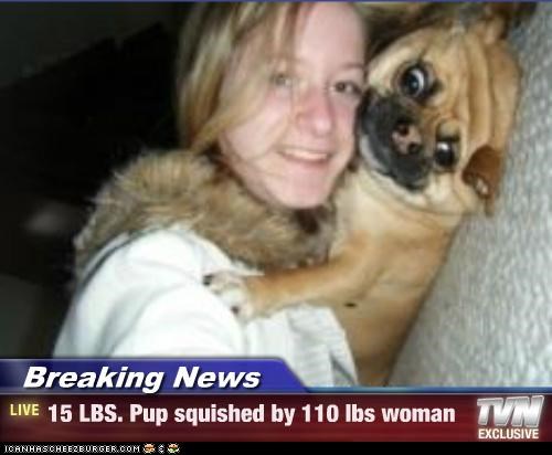 Squirshed!