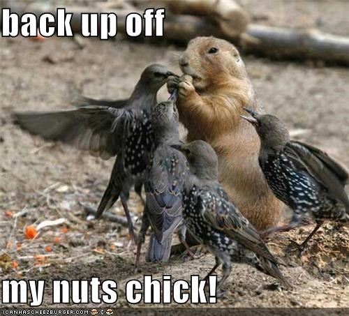 Gotta Give Deez Nutz Some Room to Breathe!