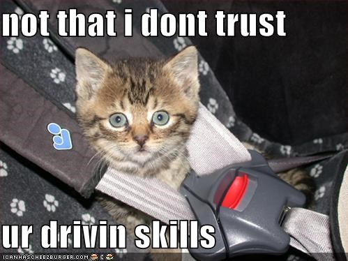 not that i dont trust   ur drivin skills