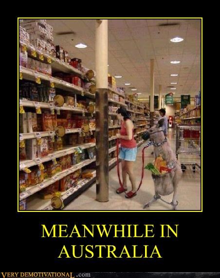 MEANWHILE IN AUSTRALIA