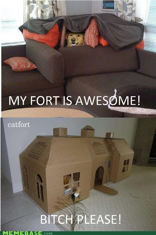 Cat Fort