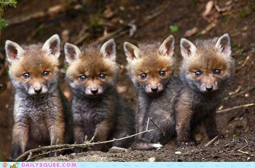 Rascals in a Row