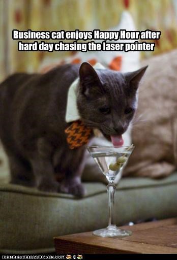 Business cat enjoys Happy Hour