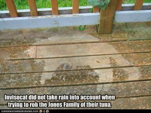 Invisocat did not take rain into account when trying to rob the Jones Family of their tuna.