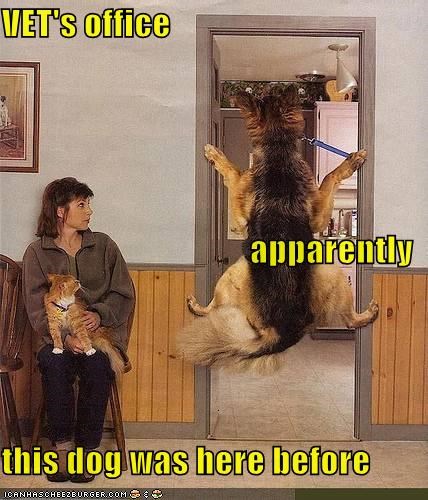 VET