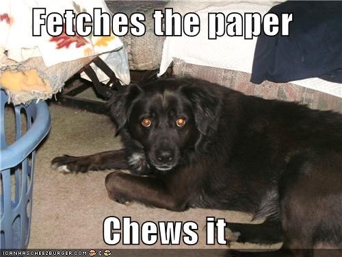 Fetches the paper