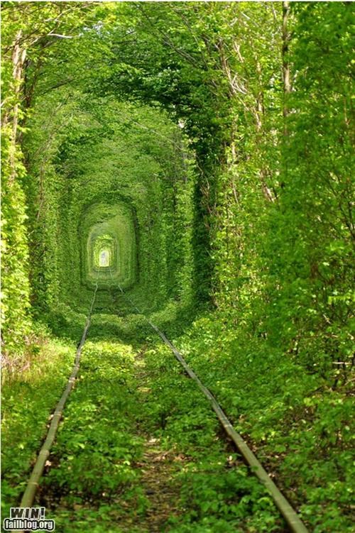Mother Nature FTW: Green Tunnel