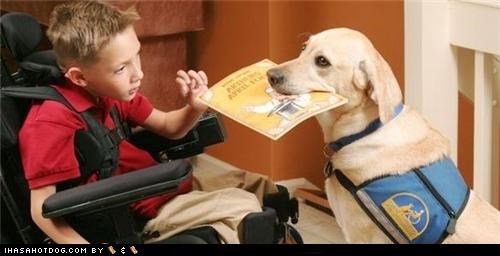 Goggie ob teh Week - Service & Assistance: Story Time!