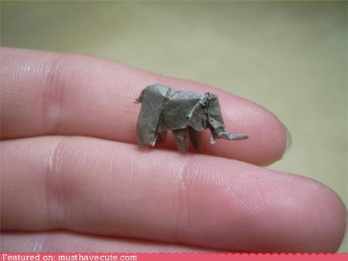 Tiniest Elephant