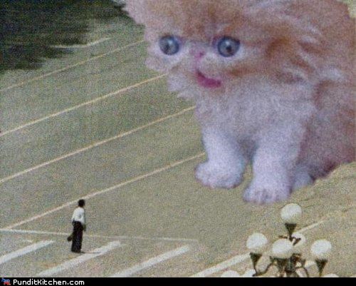 Stand Up Against Kittehs For Freedom
