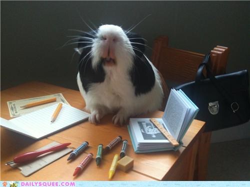 Oh Emm Gee! Where are my pants!?