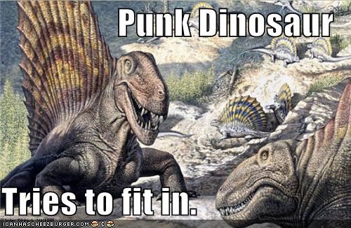 Cool Mohawk, Bro