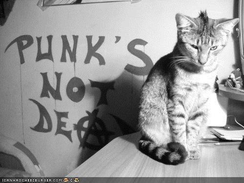 Cyoot Kitteh of teh Day: Punk Will Never Die!