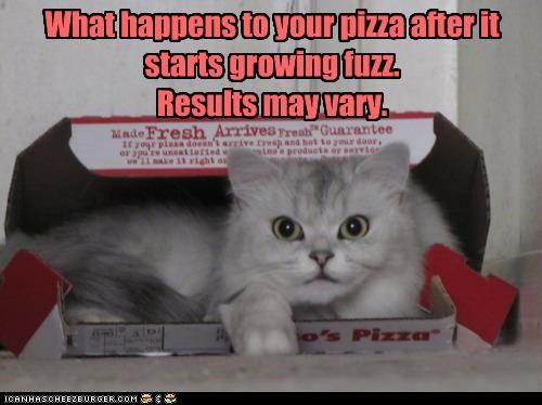What happens to your pizza after it starts growing fuzz.Results may vary.