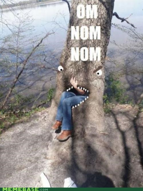 Treelicious