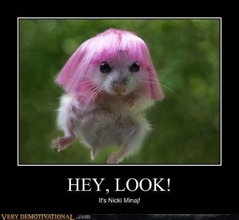 HEY, LOOK!