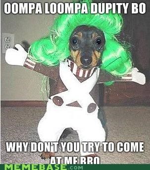 Oompa Loompa