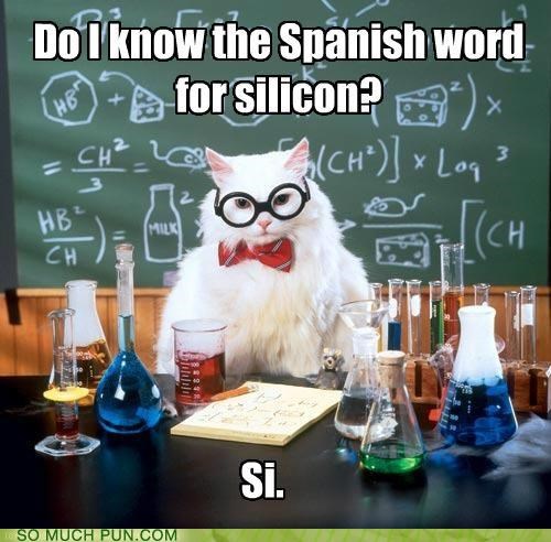 Chemistry Cat is the Supreme Punmaster!