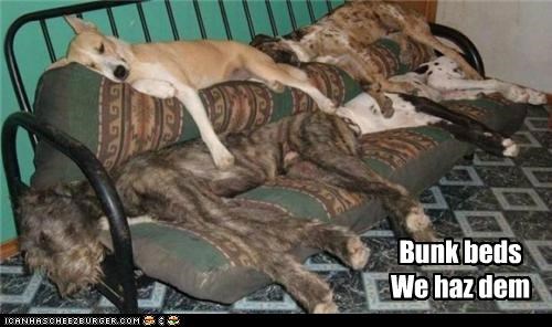 Bunk beds