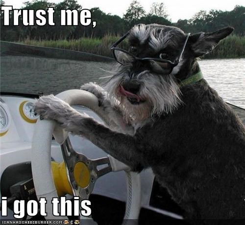 Trust me,  i got this