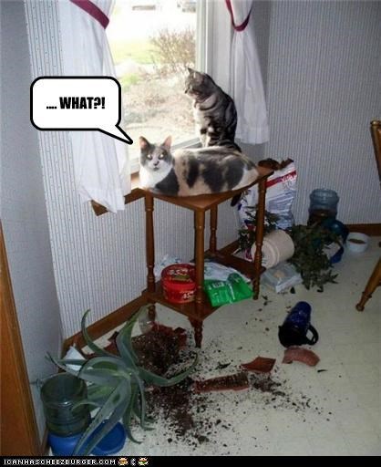 We Tried to Stop Your Plant, But He Couldn't Be Reasoned With