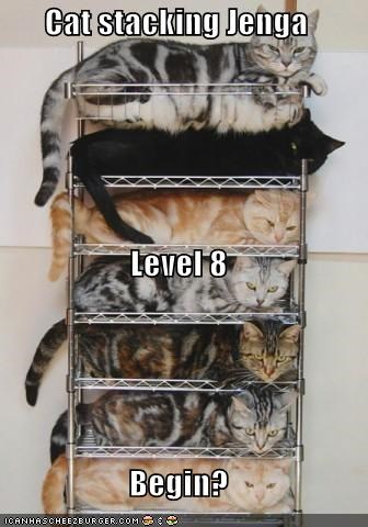 Cat stacking Jenga Level 8 Begin?