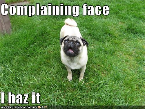 Complaining face  I haz it