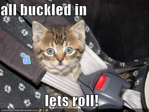 all buckled in  lets roll!