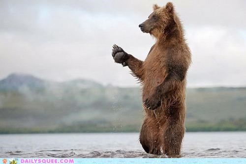 Acting Like Animals: Have a Safe Trip!