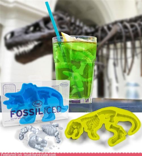 Fossiliced Dino Cubes