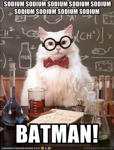 MemeCats: Batman's Blood Pressure Is Off the Charts!