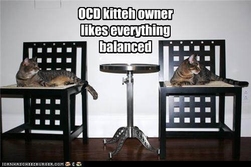 OCD kitteh owner