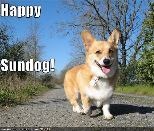Happy Sundog!