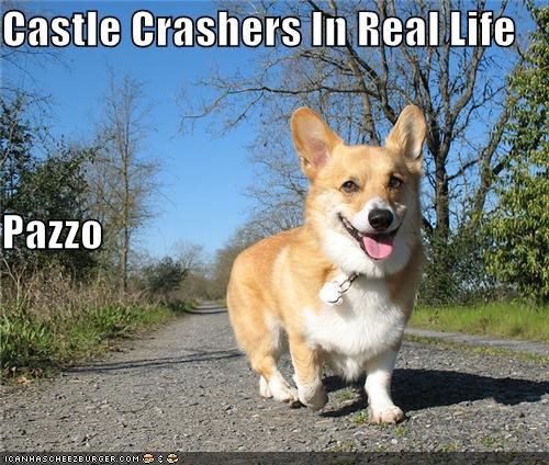 Castle Crashers In Real Life Pazzo