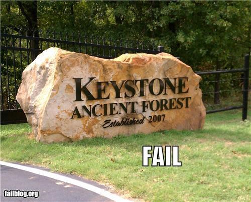 Ancient Forest FAIL