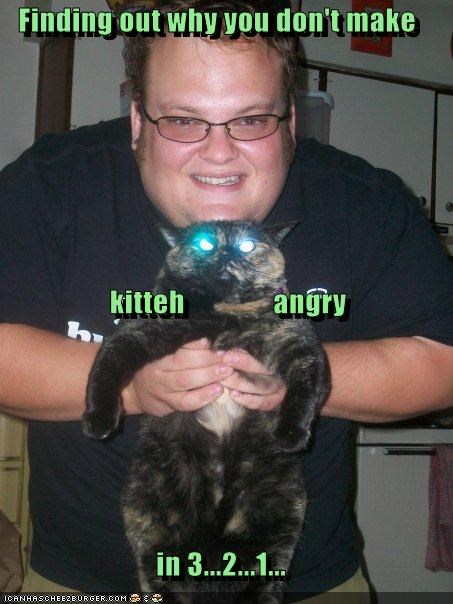 Finding out why you don't make     kitteh               angry in 3...2...1...