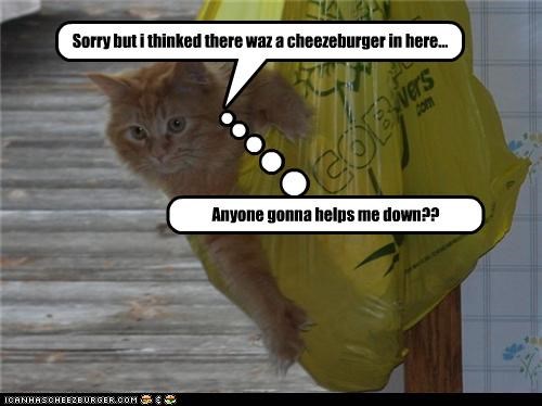 Sorry but i thinked there waz a cheezeburger in here!